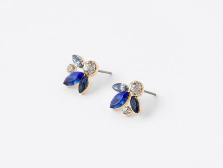 Accessorize Ombre Gem Stud Earrings on Sale